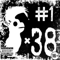 Обложка 38 попугаев