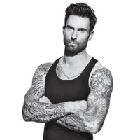 Обложка Adam Levine