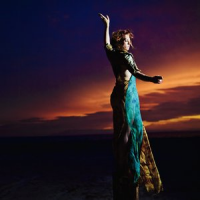 Обложка Amanda Palmer