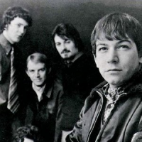 Обложка Animals