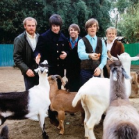 Обложка Beach Boys