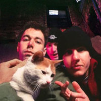 Обложка Beasties