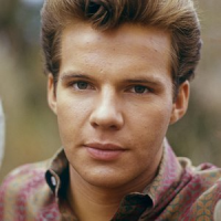 Обложка Bobby Vee