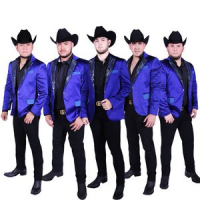 Обложка Calibre 50