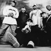 Обложка D12