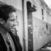 Обложка David Duchovny