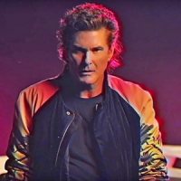 Обложка David Hasselhoff