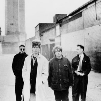 Обложка Echo and The Bunnymen