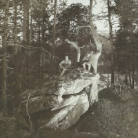 Обложка Fra Lippo Lippi