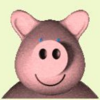 Обложка IOKI
