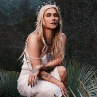 Обложка Ke$ha