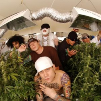 Обложка Kottonmouth Kings