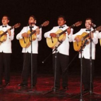 Обложка La rondalla de Saltillo