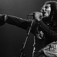 Обложка Marley Bob