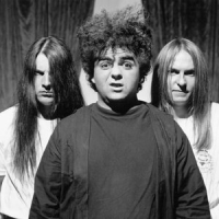 Обложка Melvins