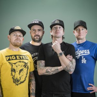 Обложка Millencolin