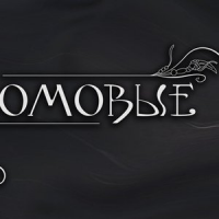 Обложка Оля и Домовые