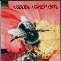 Обложка Оргазм не наступил