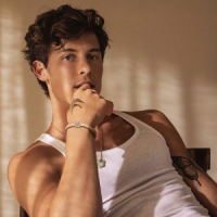Обложка Shawn Mendes