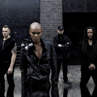 Обложка Skunk Anansie