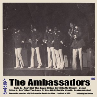 Обложка The Ambassadors