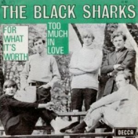 Обложка The Black Sharks