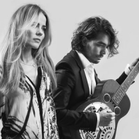 Обложка The Common Linnets