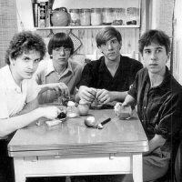 Обложка The Feelies