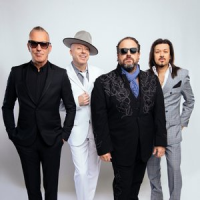Обложка The Mavericks