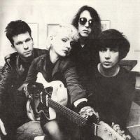 Обложка The Primitives