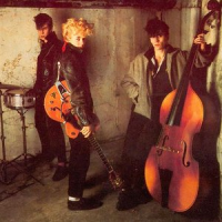 Обложка The Stray Cats