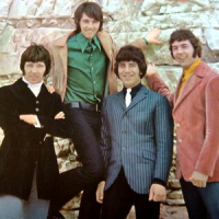 Обложка The Tremeloes