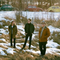 Обложка The Velveteins