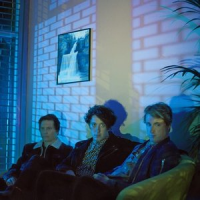 Обложка The Wombats