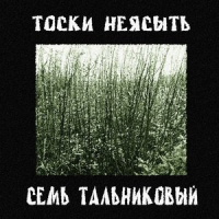 Обложка Тоски Неясыть