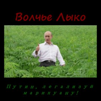 Обложка Волчье Лыко