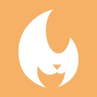 Обложка Yellow Fire