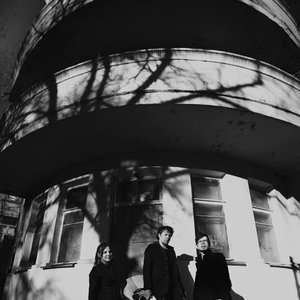 Адаптация Пчел