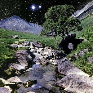 Its Not Too Beautiful