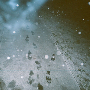 Корень имбиря