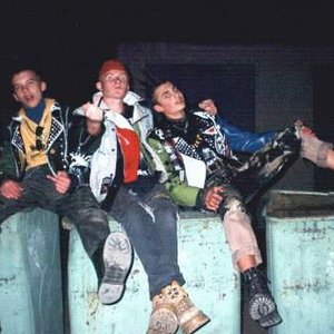 Бытовые Паразиты