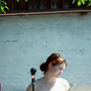 Чайка Ливингстон