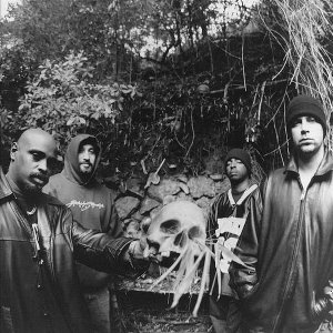 Cypress Hill