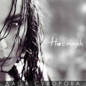 Чайки