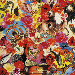 Ещё раз про дурачка