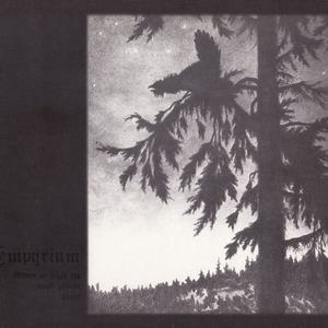 Where At Night The Wood Grouse Plays