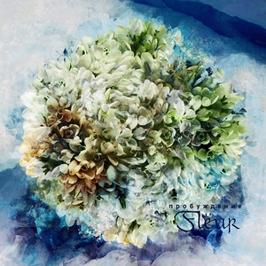 Дикое сердце