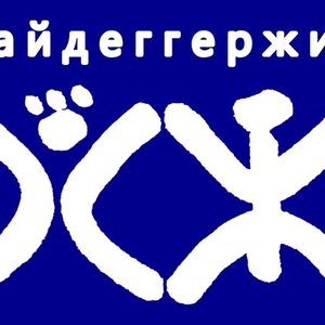 Хайдеггержив