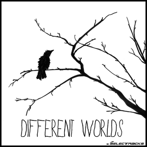 Different Worlds