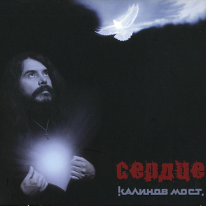 Дикие лебеди